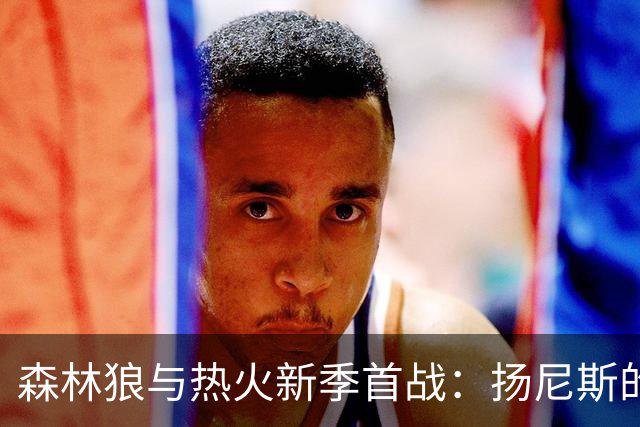 森林狼与热火新季首战：扬尼斯的热情首秀
